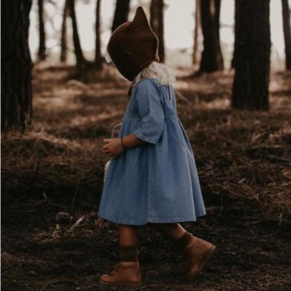 The Simple Folk Denim Dress